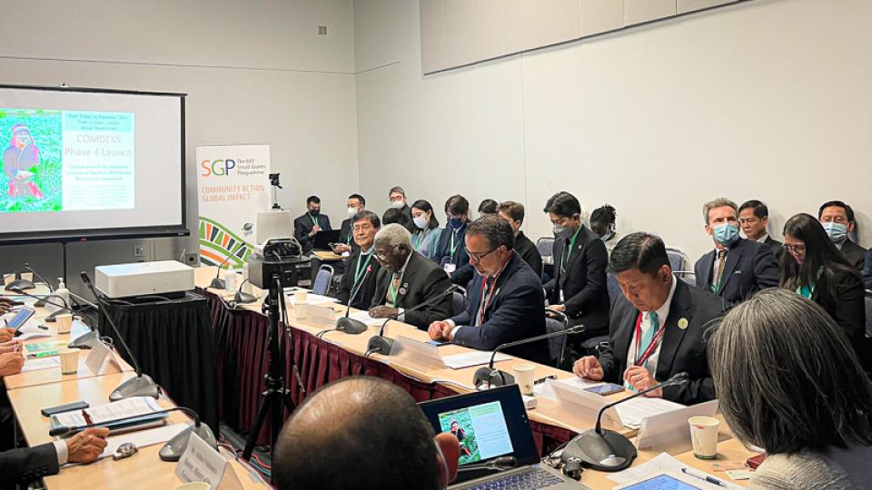 SIDE EVENT COMDEKS Phase 4: Contribution of the Satoyama Initiative to the Post-2020 Global Biodiversity Framework