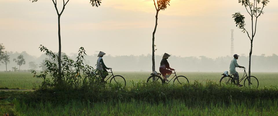 Bicycles in Indonesia